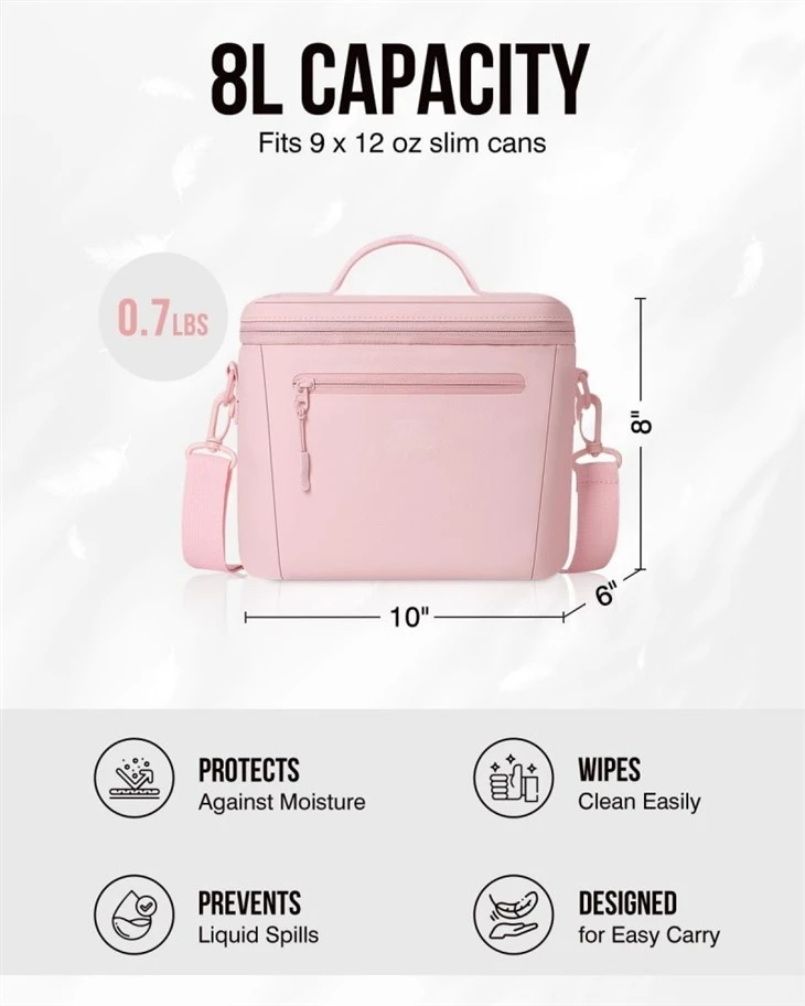 Picnic Insulated Cooler Bag best